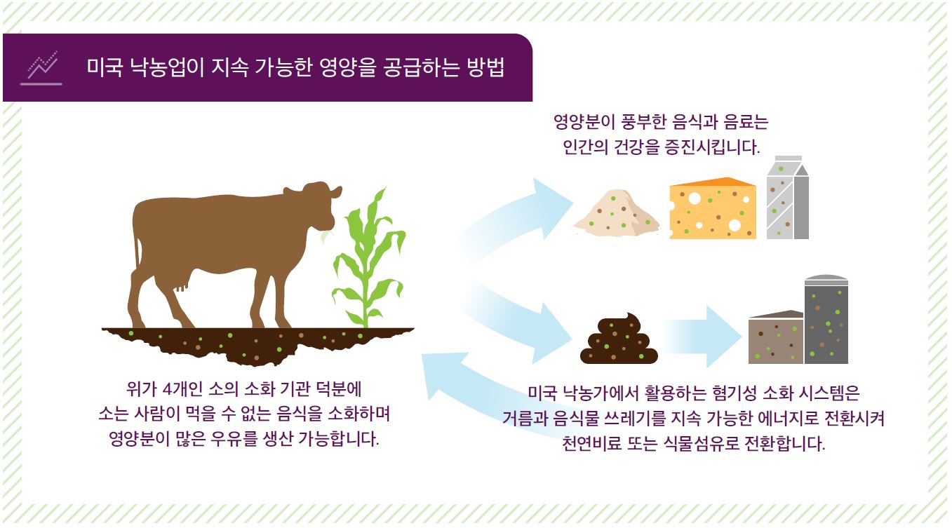 How U.S. Dairy Delivers Sustainable Nutrition